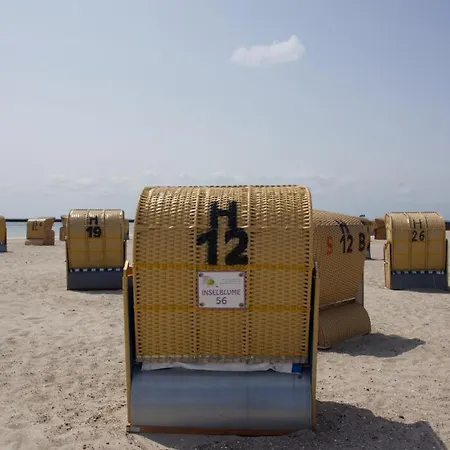 Inselblume 56 - Am Suedstrand Mit Meerblick *